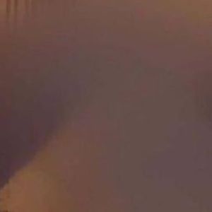 Meet your Posher, Kendall